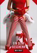 Cover-Bild zum Titel 'Ein sexy Geschenk' von 'Mia Graf'