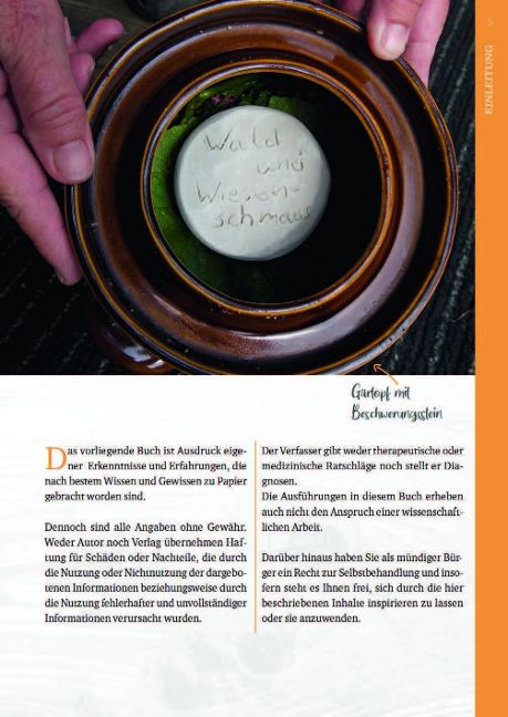 InsideView 1