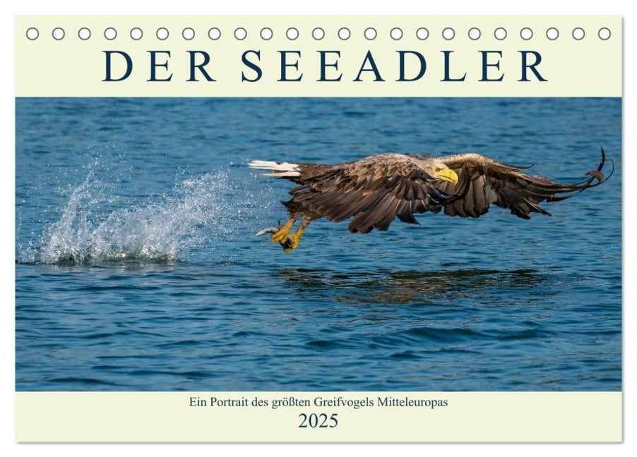 DER SEEADLER Ein Portrait des größten Greifvogels Mitteleuropas (Tischkalender 2025 DIN A5 quer), CALVENDO Monatskalender - Arne Wünsche