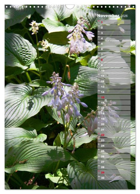 InsideView 3