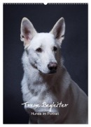 Cover-Bild zum Titel 'Treue Wegbegleiter, Hunde im Portrait. (Wandkalender 2026 DIN A2 hoch), CALVENDO Monatskalender' von 'Susanne Stark'