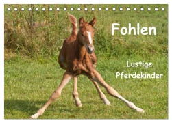 Fohlen - Lustige Pferdekinder (Tischkalender 2026 DIN A5 quer), CALVENDO Monatskalender - Meike Bölts