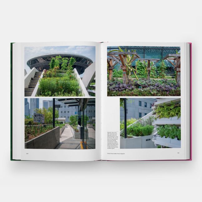 InsideView 8