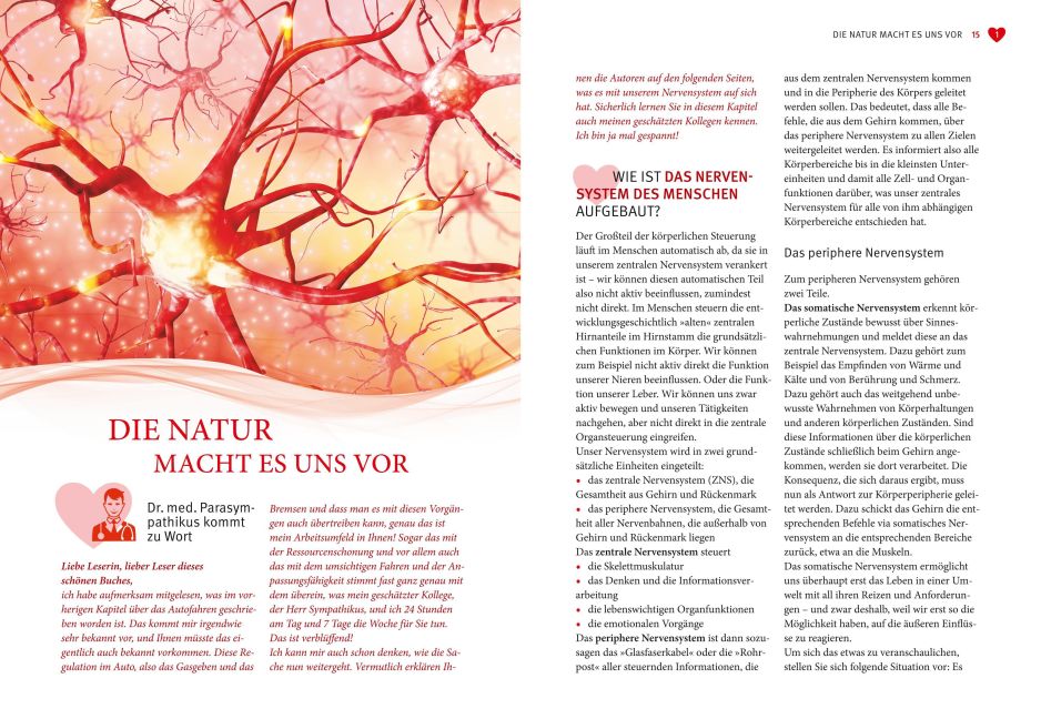 InsideView 4