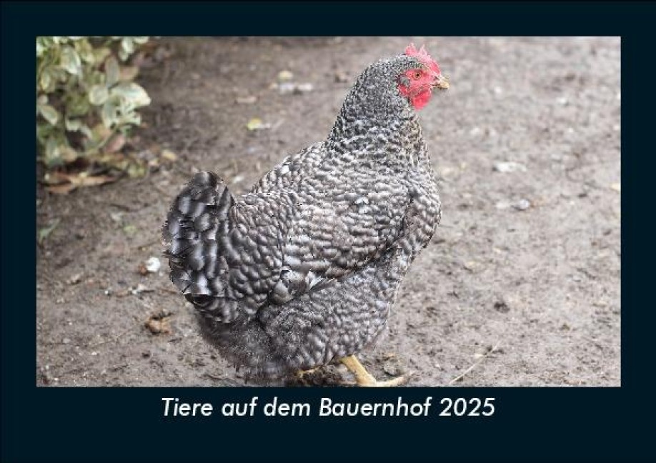 Tiere auf dem Bauernhof 2025 Fotokalender DIN A5 - Tobias Becker