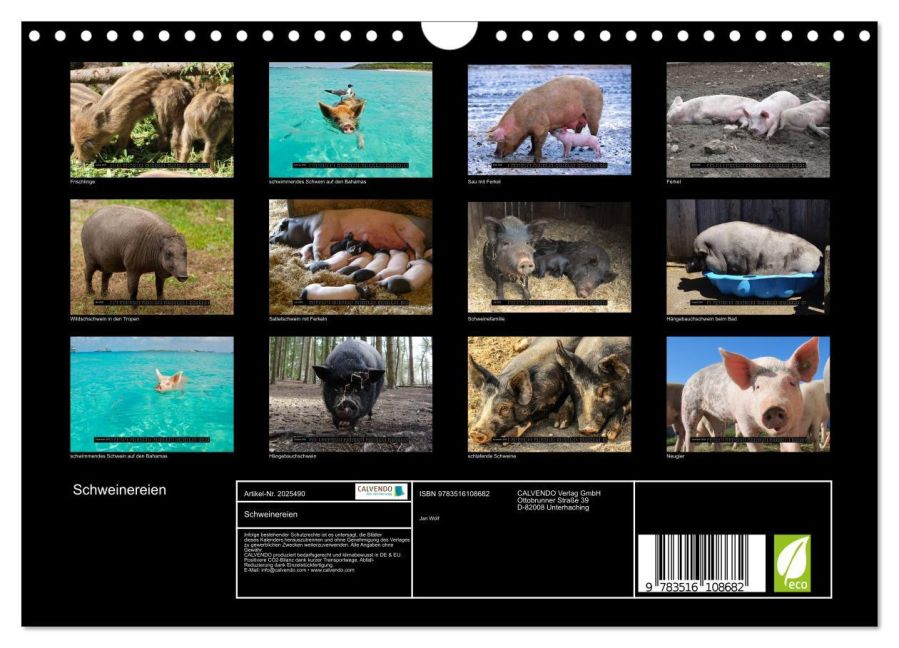 InsideView 5