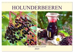 Holunderbeeren. Uralt, schön und sooo gesund! (Wandkalender 2025 DIN A3 quer), CALVENDO Monatskalender - Rose Hurley