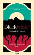 Cover-Bild zum Titel 'BLACKWATER - Eine geheimnisvolle Saga - Buch 1' von 'Michael Mcdowell'
