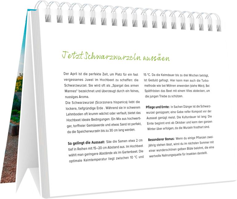 InsideView 6