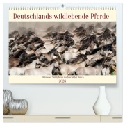 Cover-Bild zum Titel 'Deutschlands wildlebende Pferde (hochwertiger Premium Wandkalender 2026 DIN A2 quer), Kunstdruck in Hochglanz' von 'Marcel René Grossmann'