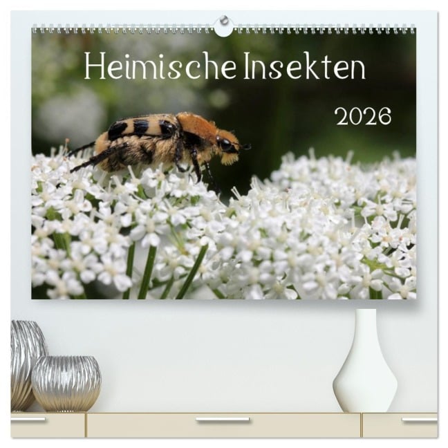 Heimische Insekten 2026 (hochwertiger Premium Wandkalender 2026 DIN A2 quer), Kunstdruck in Hochglanz - Silvia Hahnefeld
