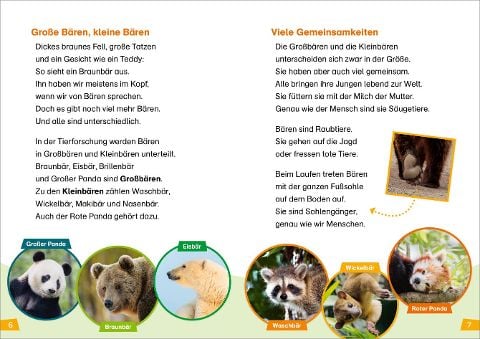 InsideView 2