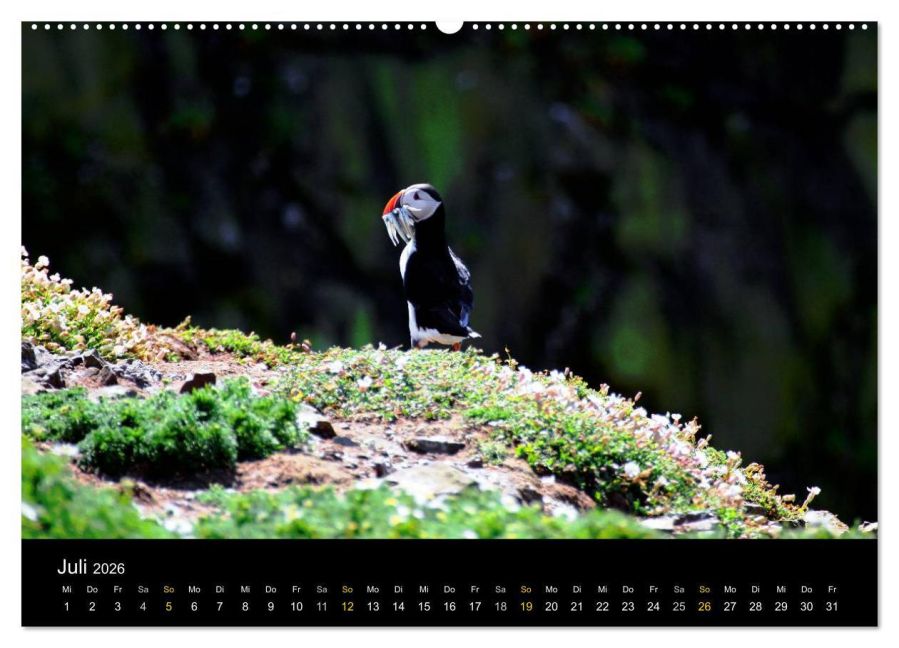 InsideView 12