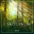 Slökun - Í skóginum - Rasmus Broe