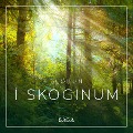 Cover-Bild zum Titel 'Slökun - Í skóginum' von 'Rasmus Broe'