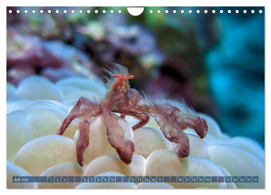 InsideView 12