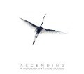 Cover-Bild zum Titel 'Ascending' von 'Amira/Trondheim Solistene Medunjanin'