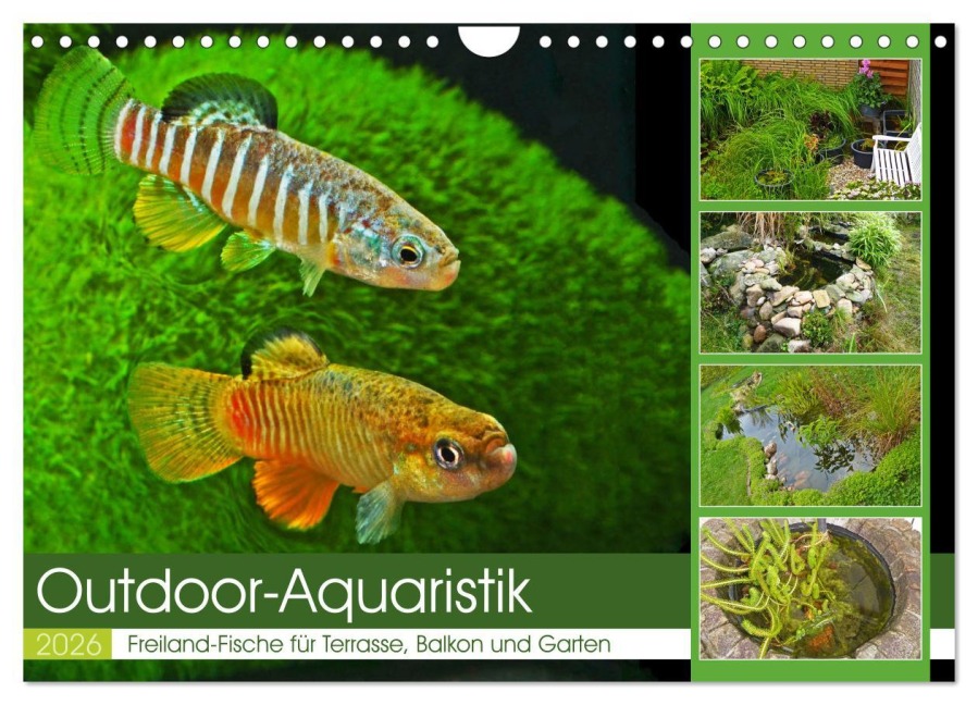 Outdoor-Aquaristik (Wandkalender 2026 DIN A4 quer), CALVENDO Monatskalender - Rudolf Pohlmann
