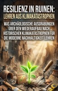 Cover-Bild zum Titel 'Resilienz in Ruinen: Lehren aus Klimakatastrophen' von 'Klara Seibold'