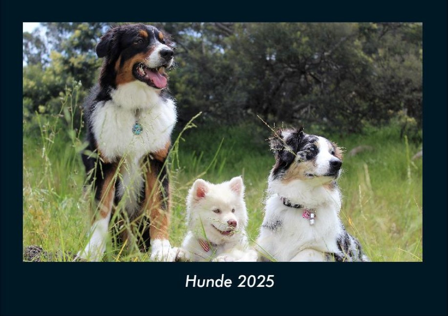 Hunde 2025 Fotokalender DIN A4 - Tobias Becker
