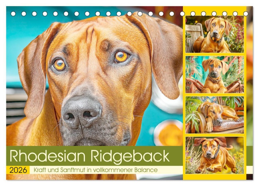 Rhodesian Ridgeback. Kraft und Sanftmut in vollkommener Balance (Tischkalender 2026 DIN A5 quer), CALVENDO Monatskalender - Rose Hurley