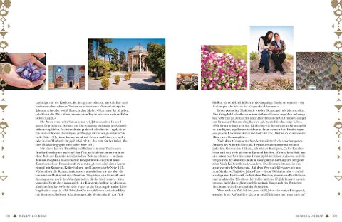 InsideView 5