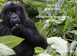 Cover-Bild zum Titel 'Afrika 1 Ruanda' von 'Inez Gitzinger-Albrecht'