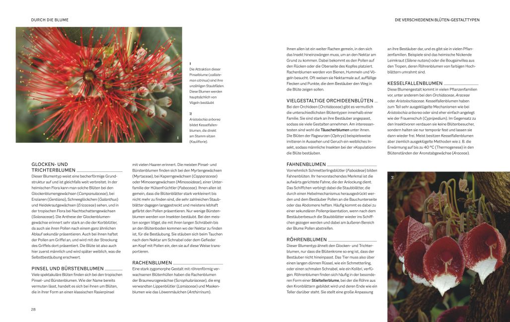 InsideView 3