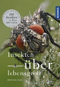 Cover-Bild zum Titel 'Insekten überlebensgroß' von 'Matthias Helb'