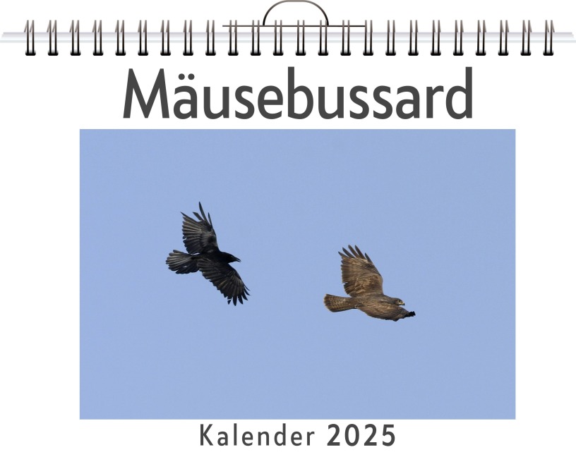 Mäusebussard - Zoe Hofmann