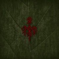 Cover-Bild zum Titel 'Yggdrasil' von 'Wardruna'