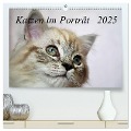 Katzen im Porträt / Geburtstagskalender (hochwertiger Premium Wandkalender 2025 DIN A2 quer), Kunstdruck in Hochglanz - Jennifer Chrystal