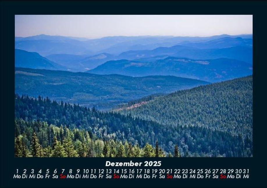 InsideView 4