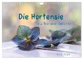 Die Hortensie und ihre vielen Gesichter (Wandkalender 2024 DIN A4 quer), CALVENDO Monatskalender - Ursula Klepper