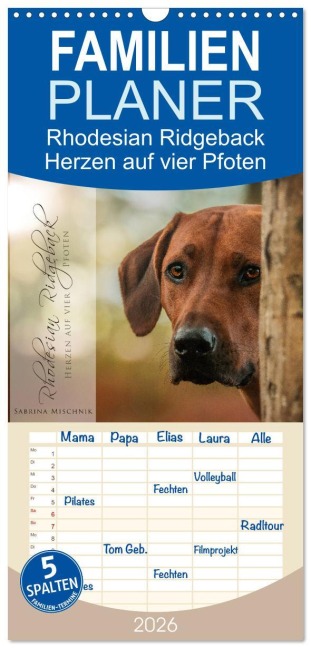 Familienplaner 2026 - Rhodesian Ridgeback - Herzen auf vier Pfoten mit 5 Spalten (Wandkalender, 21 x 45 cm) CALVENDO - Sabrina Mischnik