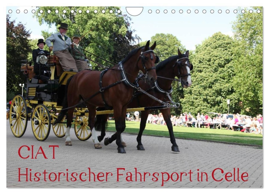 CIAT - Historischer Fahrsport in Celle (Wandkalender 2026 DIN A4 quer), CALVENDO Monatskalender - Hanseatischer Buchverlag
