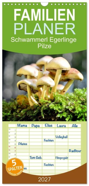 Familienplaner 2027 - Schwammerl Egerlinge Pilze mit 5 Spalten (Wandkalender, 21 x 45 cm) CALVENDO - Birte Zabel