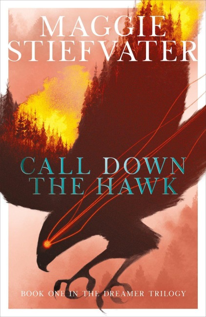 The Dreamer Trilogy 1. Call Down the Hawk - Maggie Stiefvater
