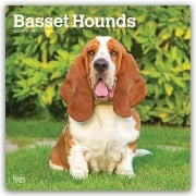 Cover-Bild zum Titel 'Basset Hounds 2027 - 16-Monatskalender' von 'Browntrout Publishers'