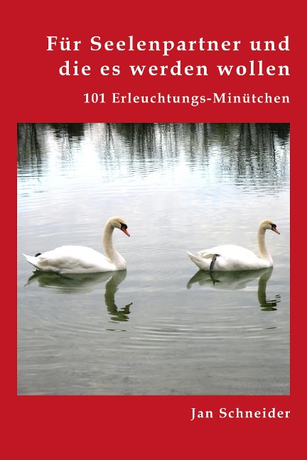 Für Seelenpartner und die es werden wollen - Jan Norman