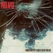 Cover-Bild zum Titel 'I Wonder When They're Going To Destroy Your Face' von 'Prolapse'