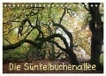 Die Süntelbuchenallee (Tischkalender 2024 DIN A5 quer), CALVENDO Monatskalender - Bernhard Loewa