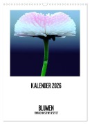 Cover-Bild zum Titel 'BLUMEN EINFACH IN SZENE GESETZT (Wandkalender 2026 DIN A3 hoch), CALVENDO Monatskalender' von 'Susanne Jeschke'