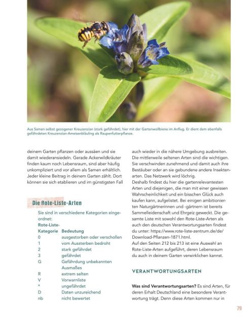 InsideView 10