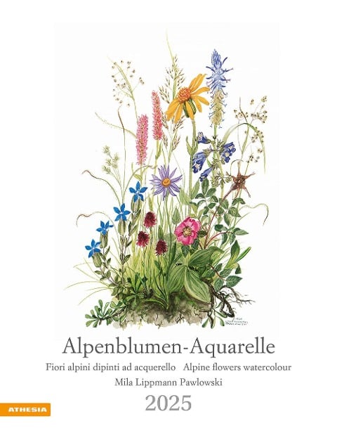 Alpenblumen-Aquarelle Kalender 2025 - 