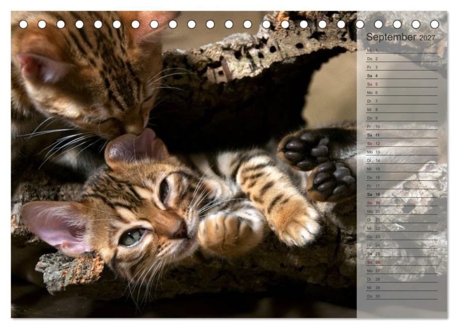 InsideView 14