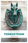 Cover-Bild zum Titel 'Todessteign' von 'Fabian Borkner'