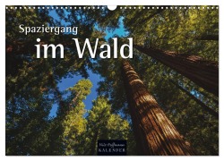 Spaziergang im Wald (Wandkalender 2025 DIN A3 quer), CALVENDO Monatskalender - Nils Hoffmann