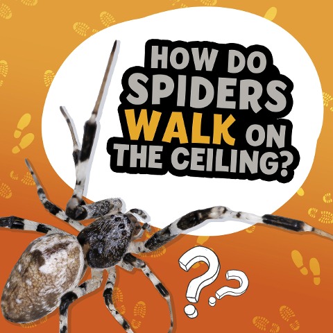 How Do Spiders Walk on the Ceiling? - Nancy Dickmann