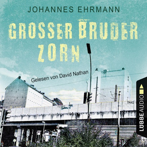 Großer Bruder Zorn - Johannes Ehrmann
